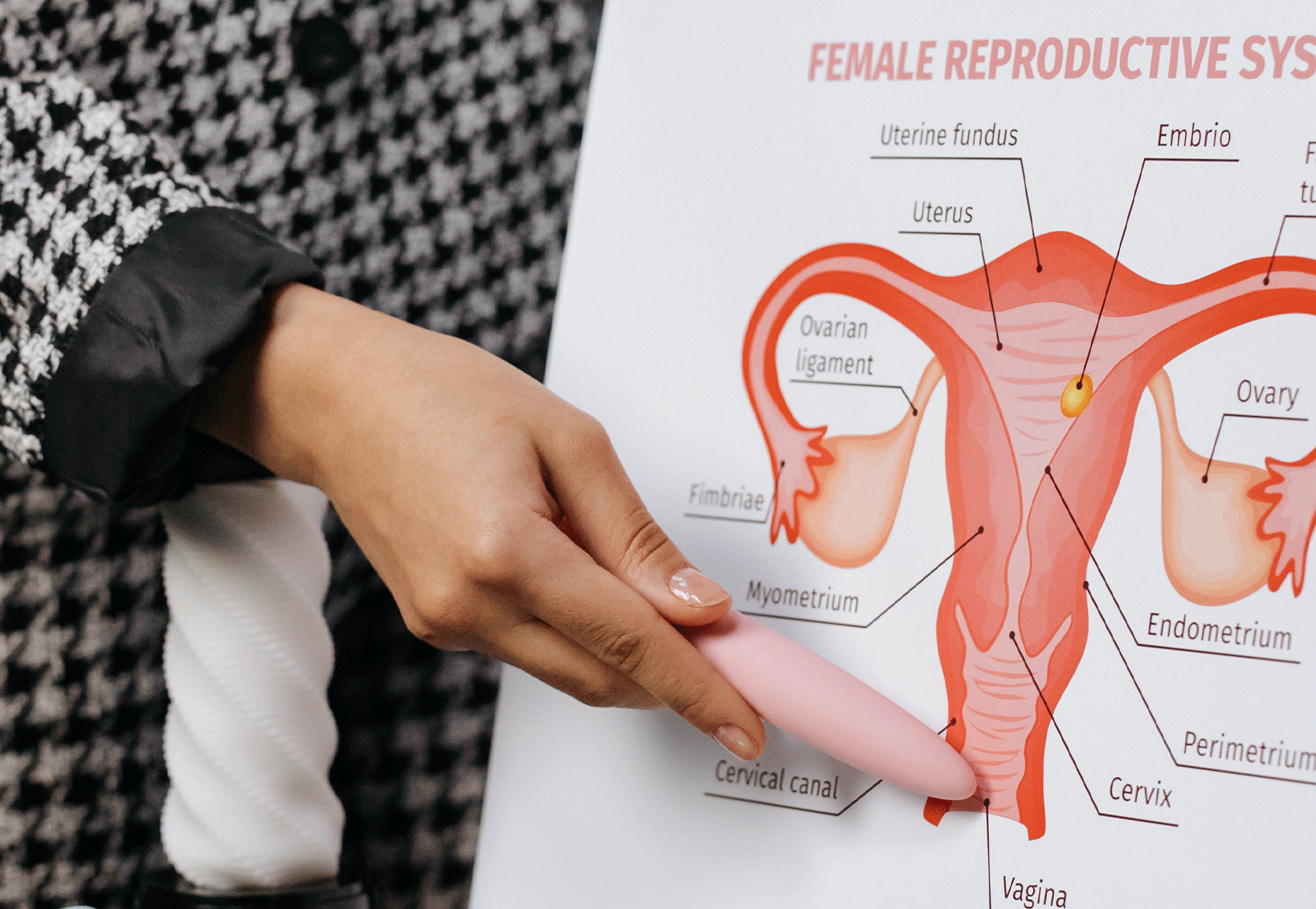 How Deep Is A Womans Vagina? PinkCherry