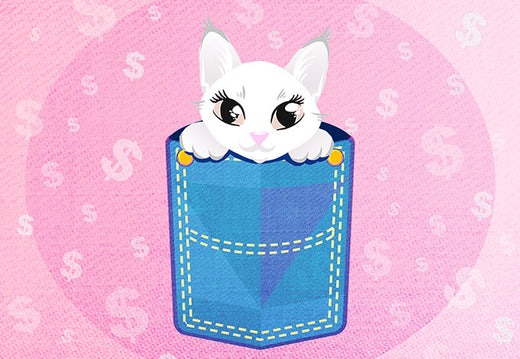 How to Get the Best Pocket Pussy For The Money