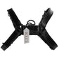 Chest Harness with Double D Ring in L