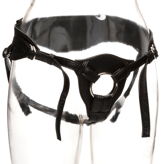 The Queen Her Royal Harness