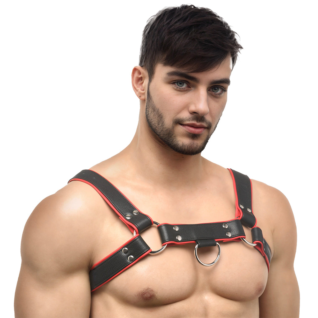 Strict Leather English Bulldog Harness