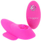 Lock-N-Play Remote Flicker Panty Teaser Vibe