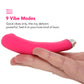 PinkCherry Remote Control Panty Vibe in Pink