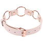 S&M Peaches 'n CreaMe Ring Day Collar