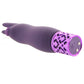 Royal Gems Elegance Bullet Vibe in Purple
