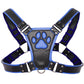 Master Series Alpha Pup Bulldog Harness in Blue