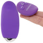 PinkCherry Remote Control Panty Vibe in Purple