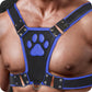 Master Series Alpha Pup Bulldog Harness in Blue