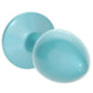 Rear Assets Small Metal Butt Plug in Teal
