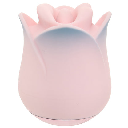 Blush Kissing Rose Vibe