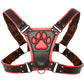 Master Series Alpha Pup Bulldog Harness in Red