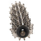 Dr. Joel Kaplan Adjustable Extension in Smoke