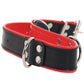 Ouch! Deluxe Bonded Leather Bondage Collar in Red