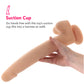 Size Queen 12 Inch Dildo in Ivory