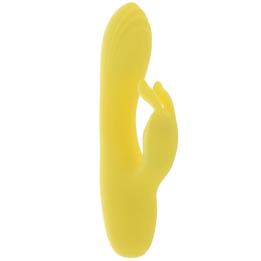 Sorbet Lemon Rabbit Vibe