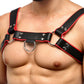 Strict Leather English Bulldog Harness