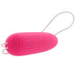 Bang! Silicone Vibrating Egg in Pink