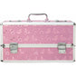 Simple and True Lockable Large Vibrator Case in Pink