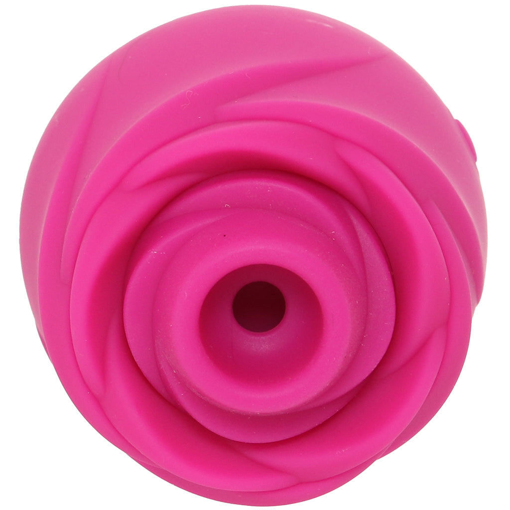 Romp Rose 2.0 Pleasure Air Stimulator PinkCherry Romp Rose 2.0 Pleasure Air Stimulator PinkCherry
