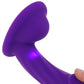 Colours Curve 5 Inch Vibe in Purple