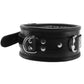 Padded Leather Collar in Black