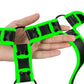 Ouch! Glow In The Dark Upper Body Harness in S/M