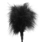 Ouch! Feather Crop in Black