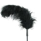 Ostrich Feather Body Tickler in Black